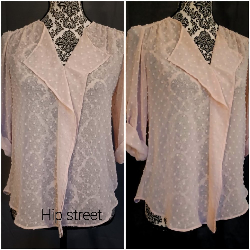 ANN TAYLOR Beige Dotted Swiss Chiffon Stitched Front Panel Top Blouse XS